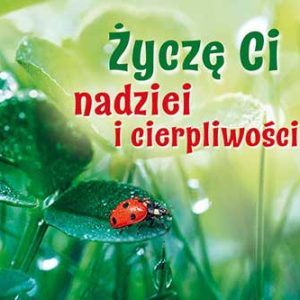 Perełka 281.Życzę Ci nadziei i cierpliwości