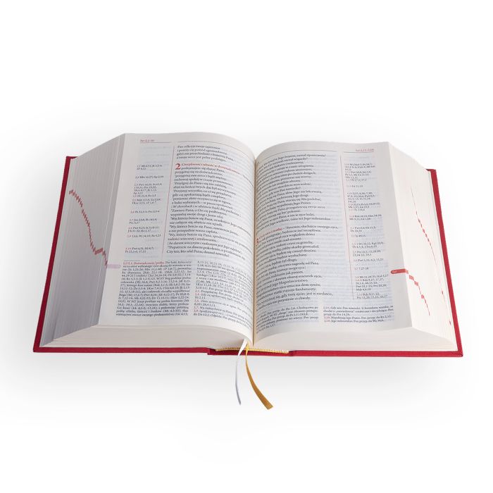 Biblia Plus – płótno czerwona