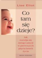 Co tam się dzieje?