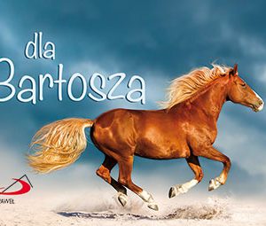 Imiona. Dla Bartosza