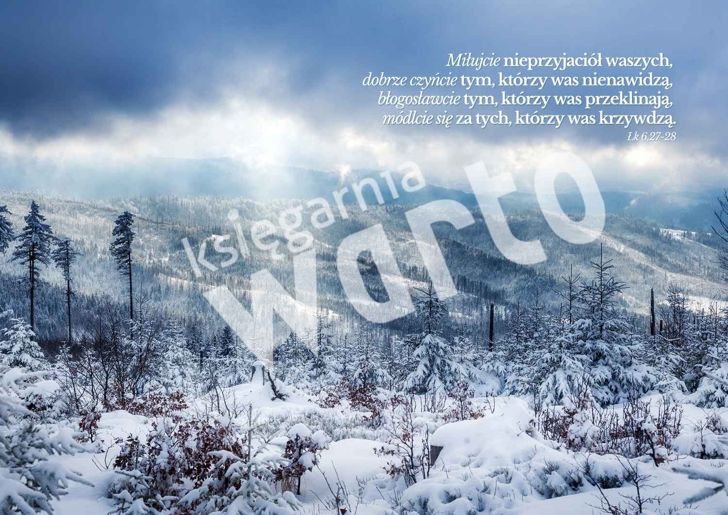 Komplet plakatów – hasła miesiąca 2025
