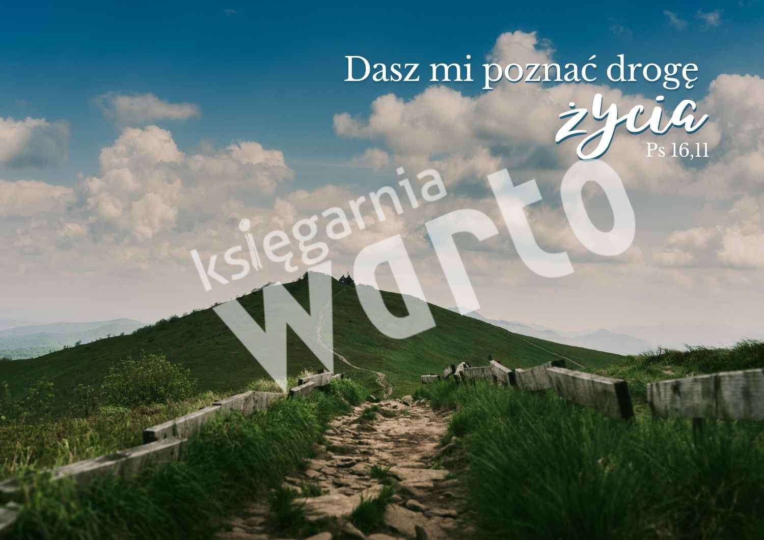 Komplet plakatów – hasła miesiąca 2025