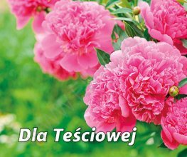 Perełka 269 Dla Teściowej