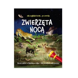 Zwierzęta nocą